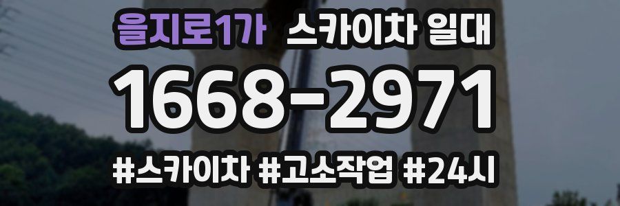 을지로1가 스카이차 일대