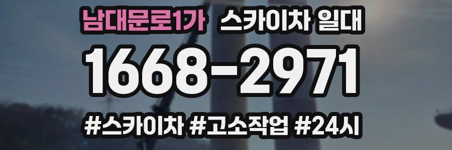 남대문로1가 스카이차 일대