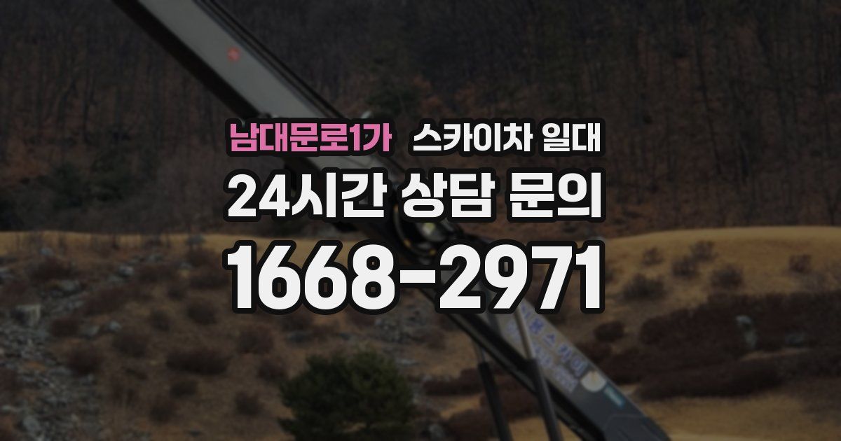 남대문로1가 스카이차 일대
