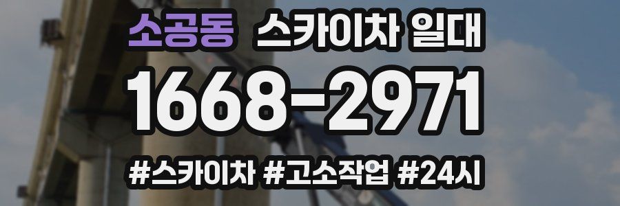 소공동 스카이차 일대