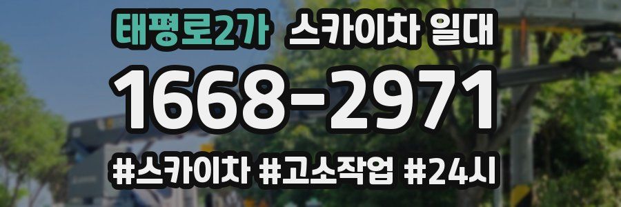 태평로2가 스카이차 일대