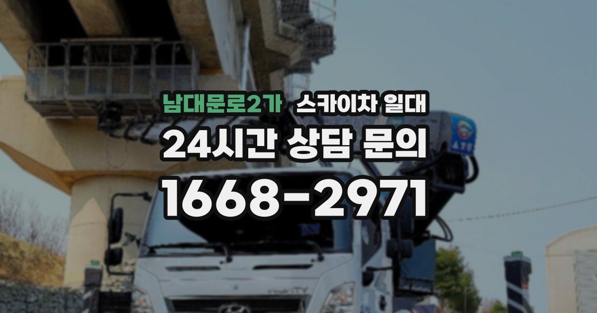 남대문로2가 스카이차 일대
