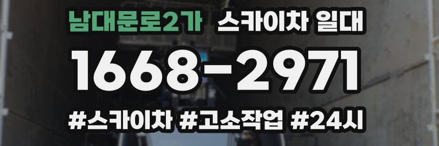 남대문로2가 스카이차 일대