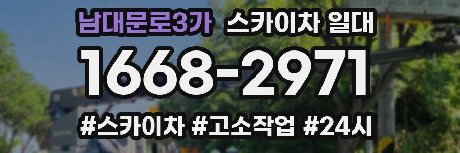 남대문로3가 스카이차 일대