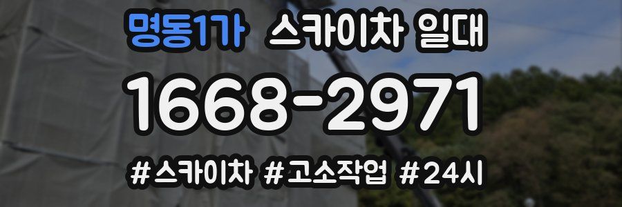 명동1가 스카이차 일대