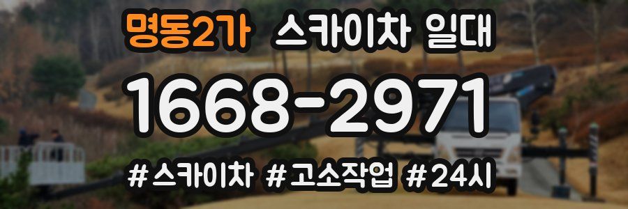 명동2가 스카이차 일대