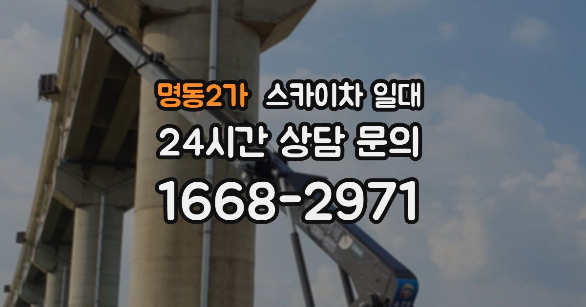명동2가 스카이차 일대
