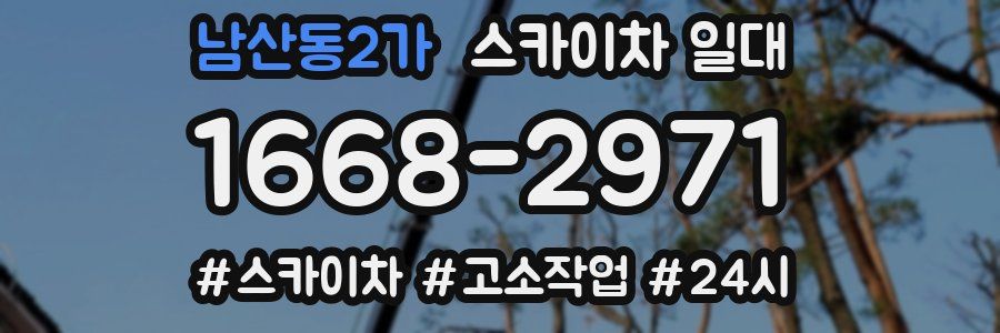 남산동2가 스카이차 일대