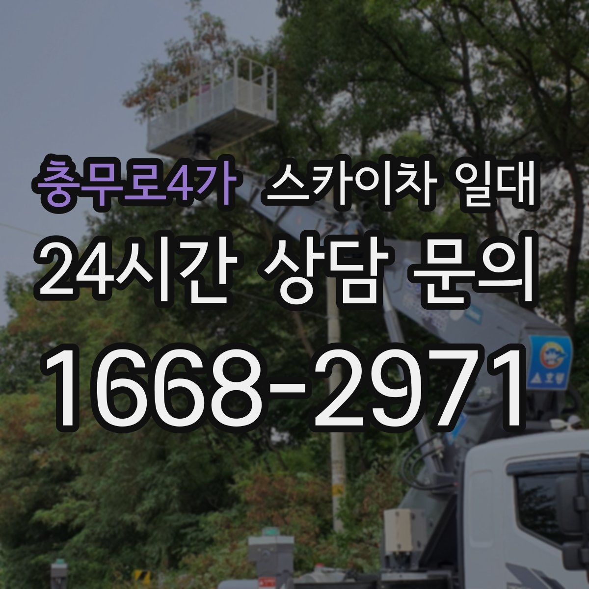 충무로4가 스카이차 일대