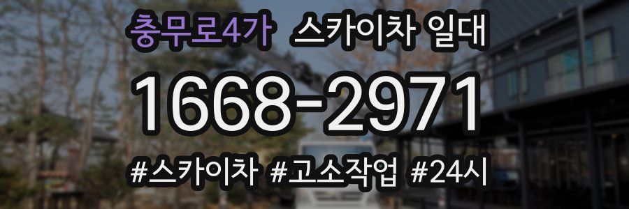 충무로4가 스카이차 일대