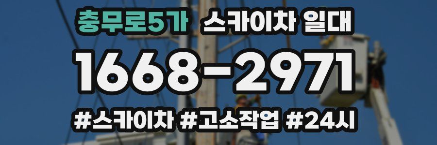 충무로5가 스카이차 일대