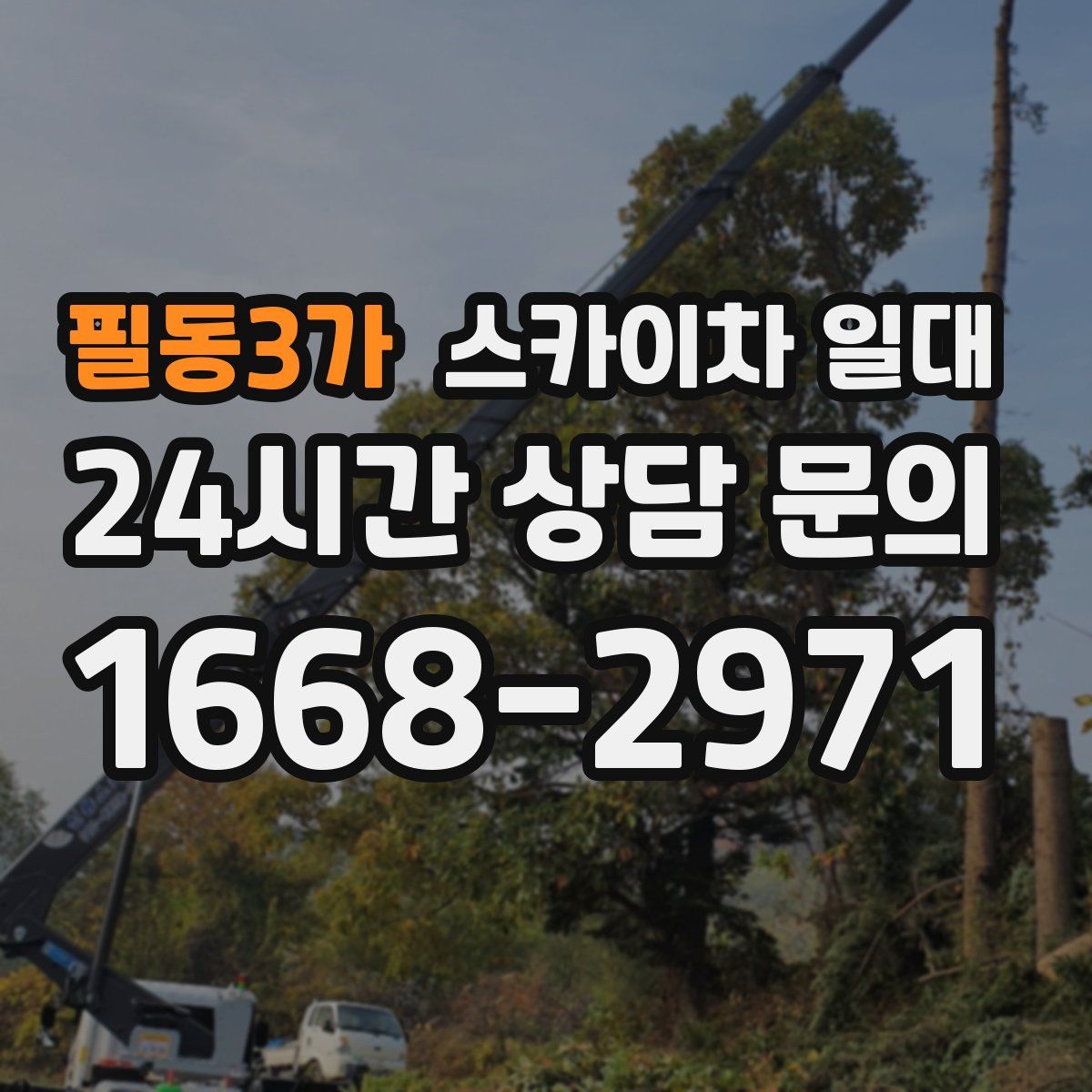 필동3가 스카이차 일대