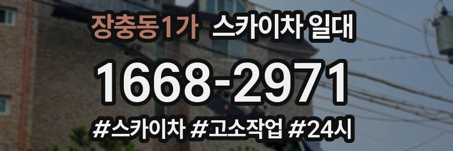 장충동1가 스카이차 일대