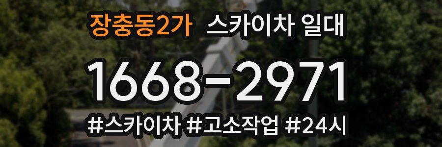 장충동2가 스카이차 일대