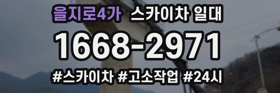 을지로4가 스카이차 일대