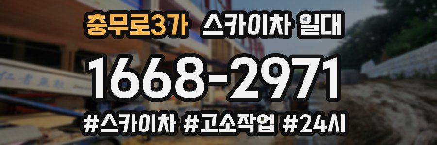 충무로3가 스카이차 일대