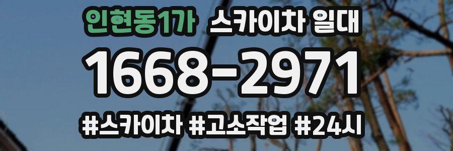 인현동1가 스카이차 일대