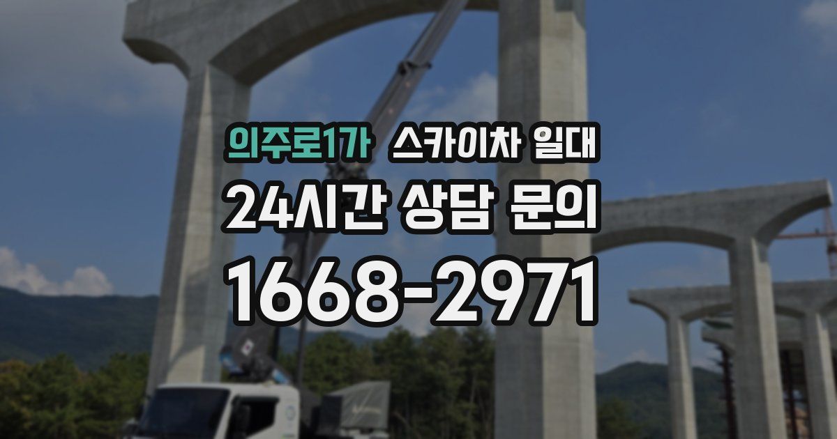 의주로1가 스카이차 일대