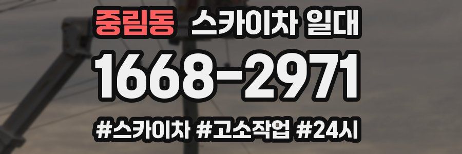 중림동 스카이차 일대