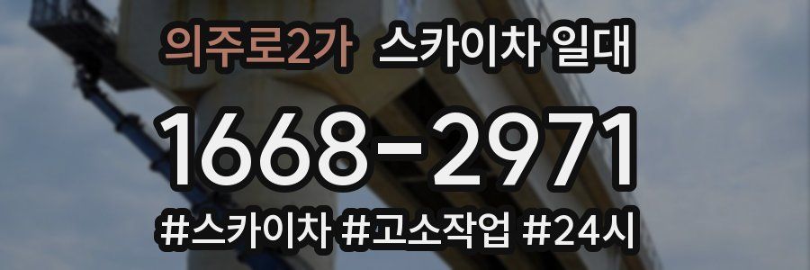 의주로2가 스카이차 일대