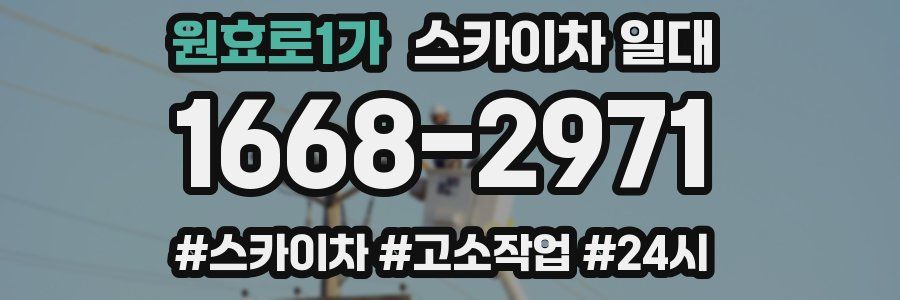 원효로1가 스카이차 일대