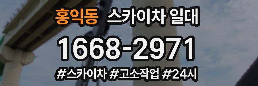 홍익동 스카이차 일대