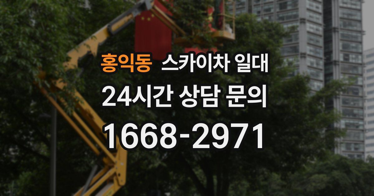 홍익동 스카이차 일대