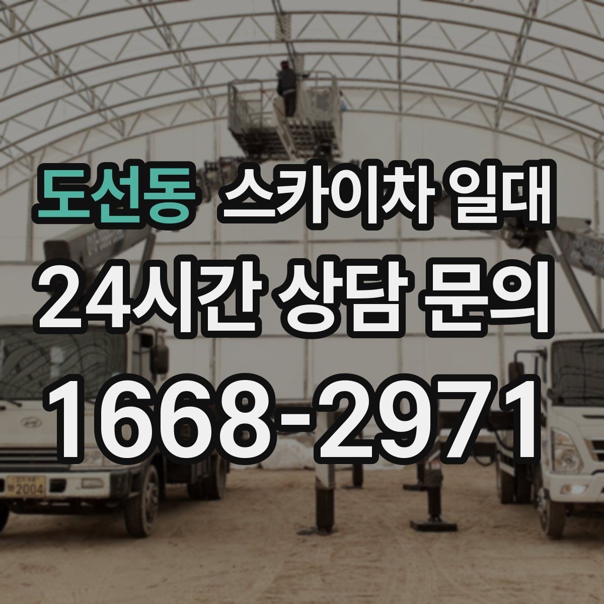 도선동 스카이차 일대 이용 시 자주 묻는 질문 정리