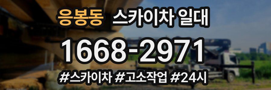 응봉동 스카이차 일대
