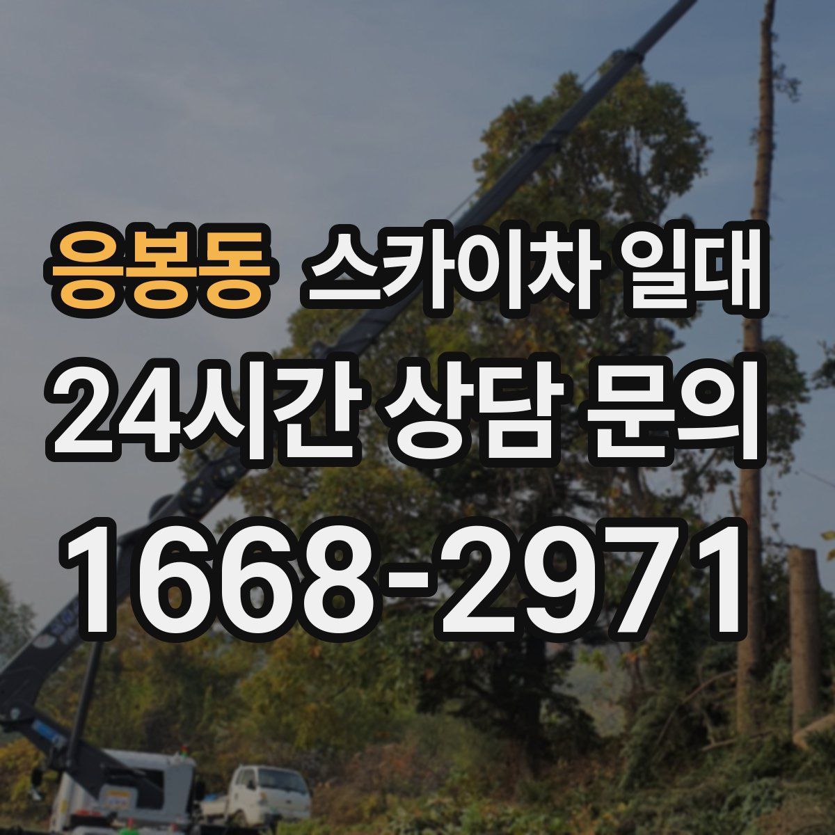 응봉동 스카이차 일대