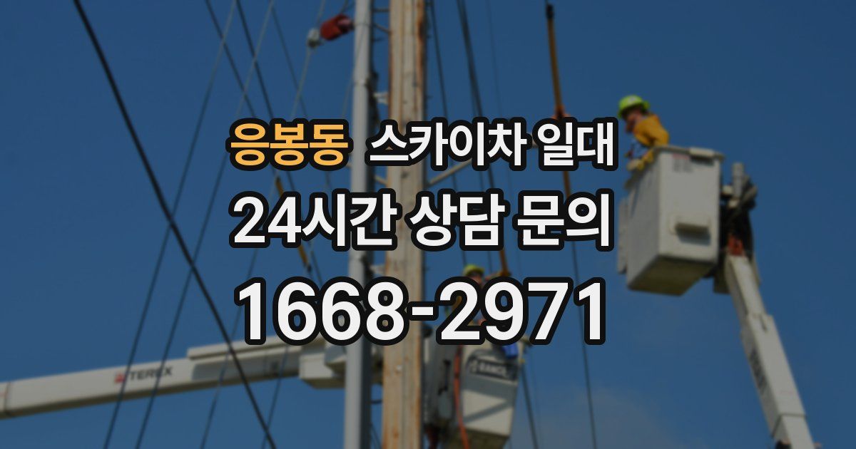 응봉동 스카이차 일대