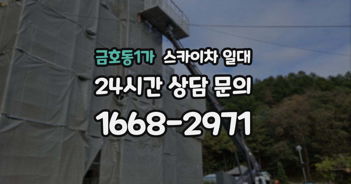 금호동1가 스카이차 일대