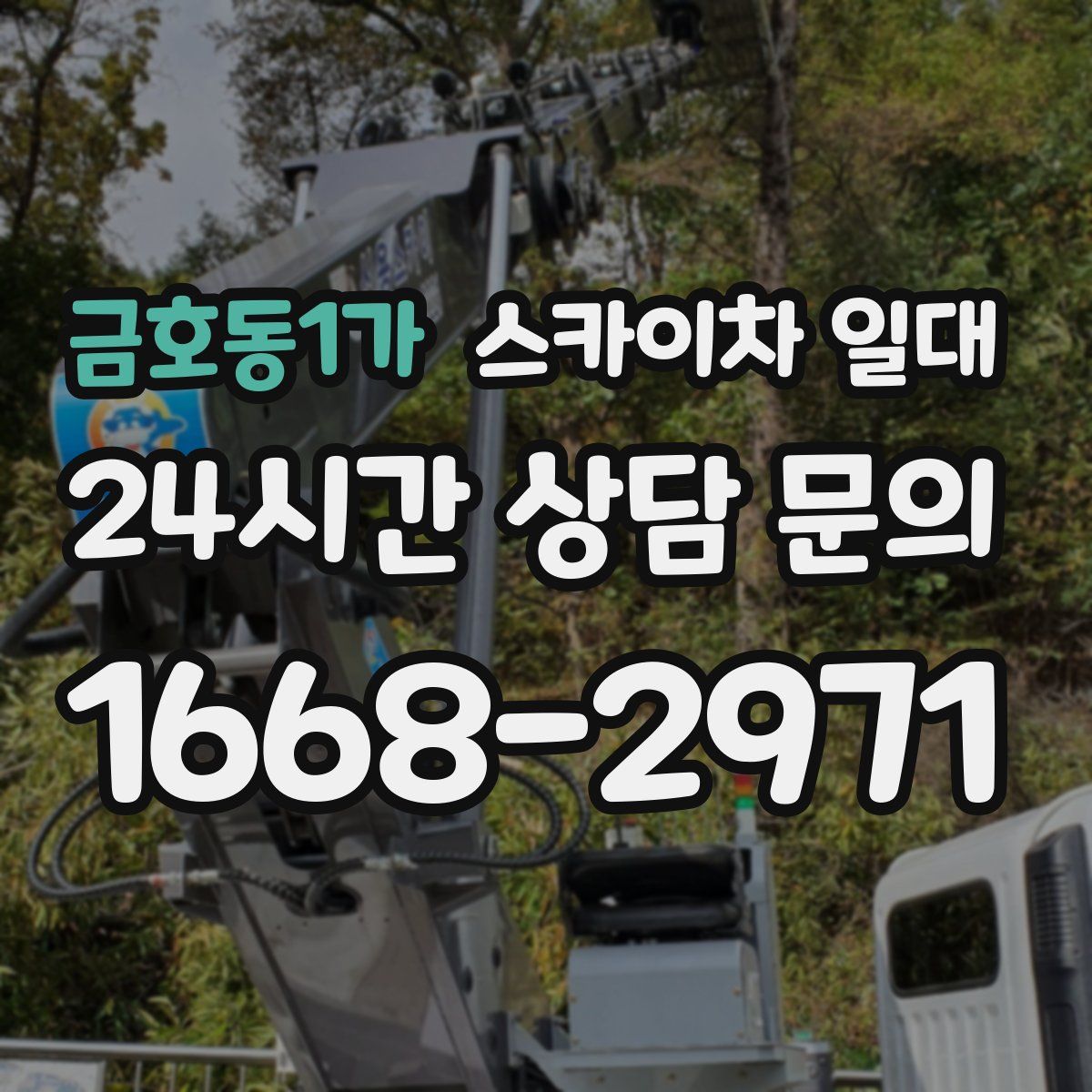 금호동1가 스카이차 일대