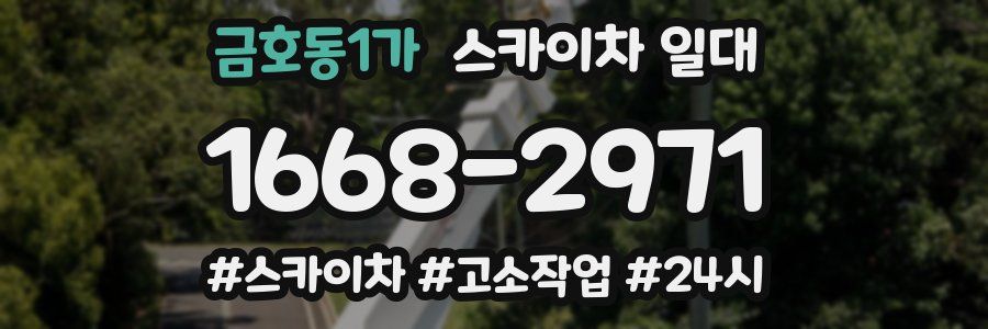 금호동1가 스카이차 일대