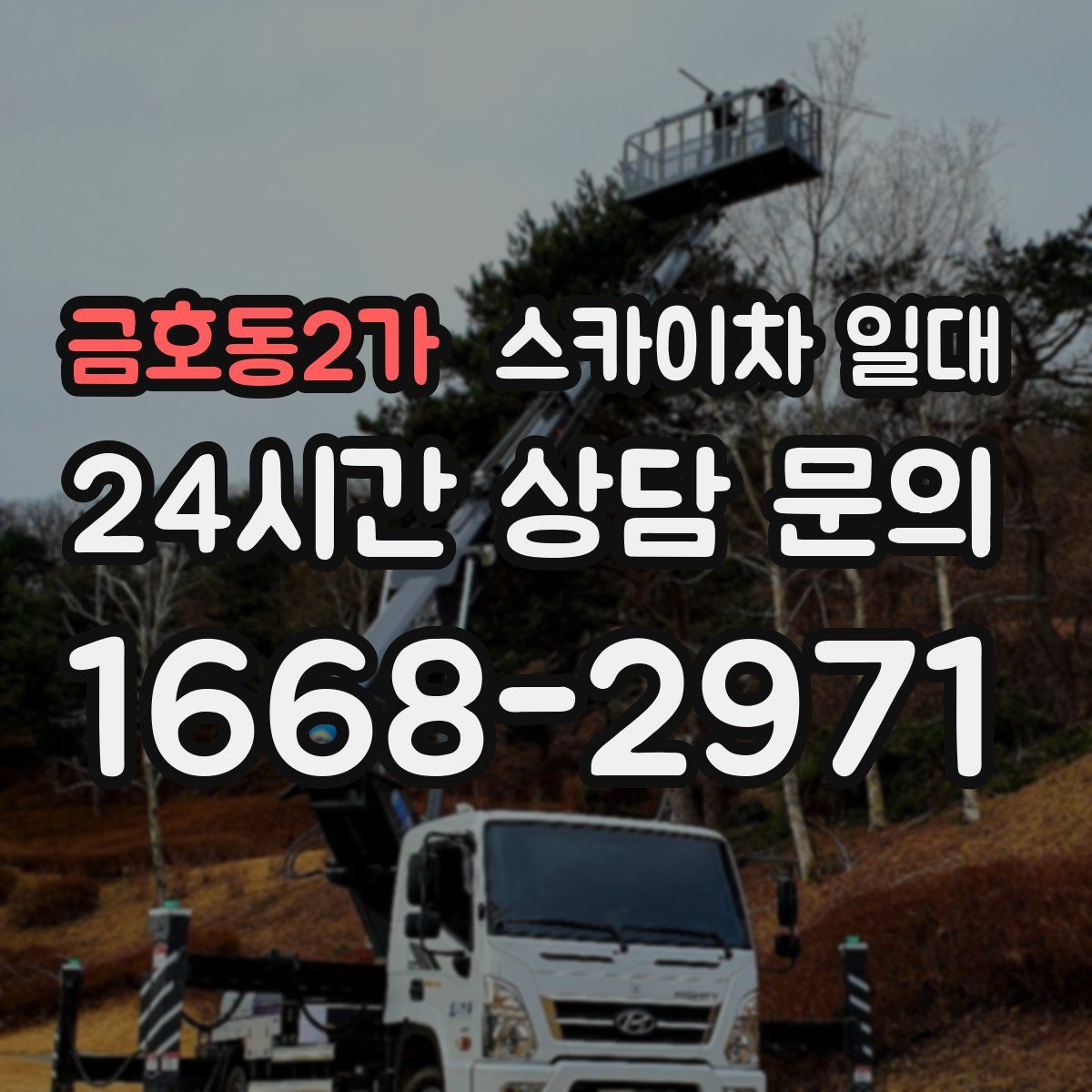 금호동2가 스카이차 일대