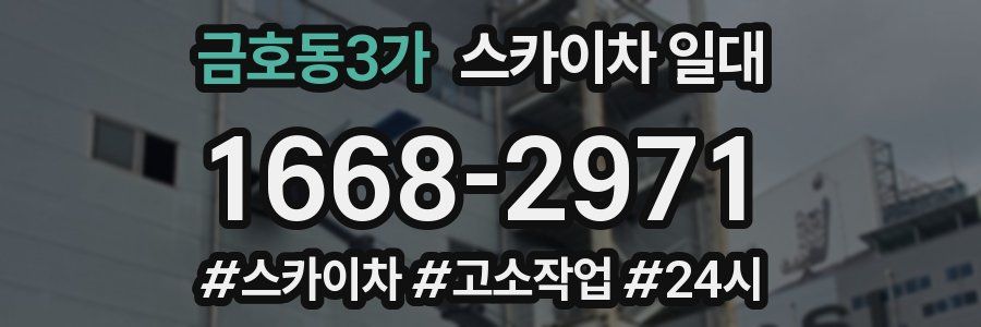 금호동3가 스카이차 일대