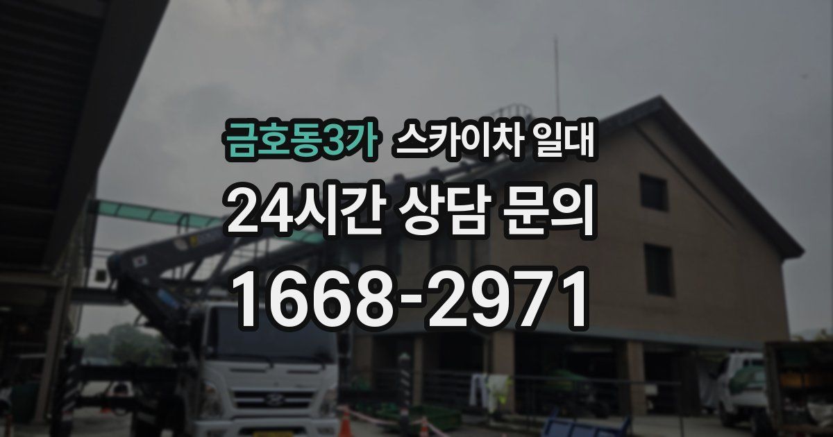 금호동3가 스카이차 일대