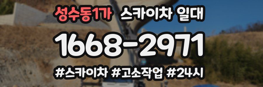성수동1가 스카이차 일대
