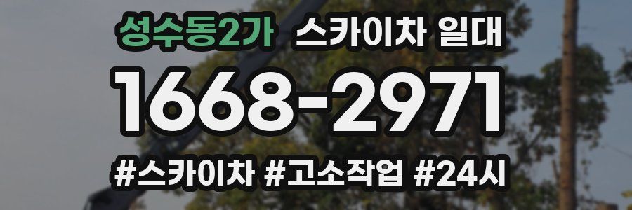 성수동2가 스카이차 일대