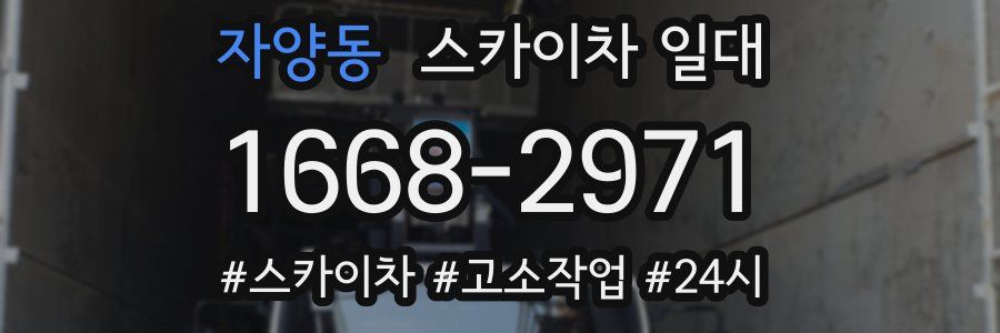 자양동 스카이차 일대