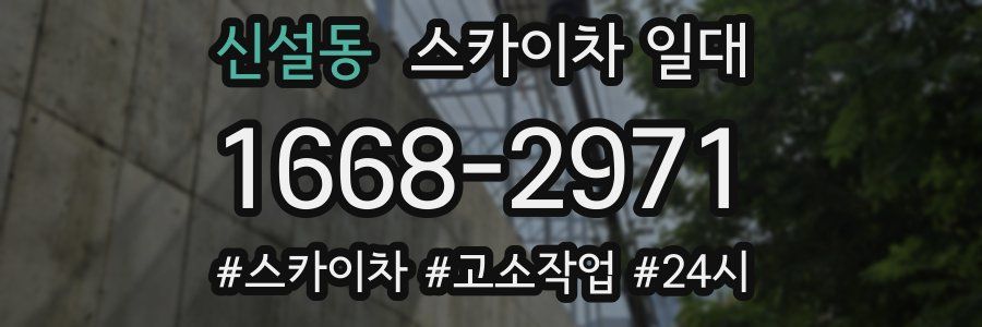 신설동 스카이차 일대