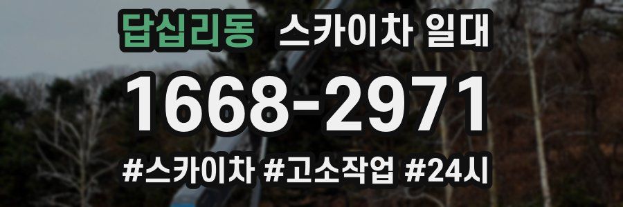 답십리동 스카이차 일대