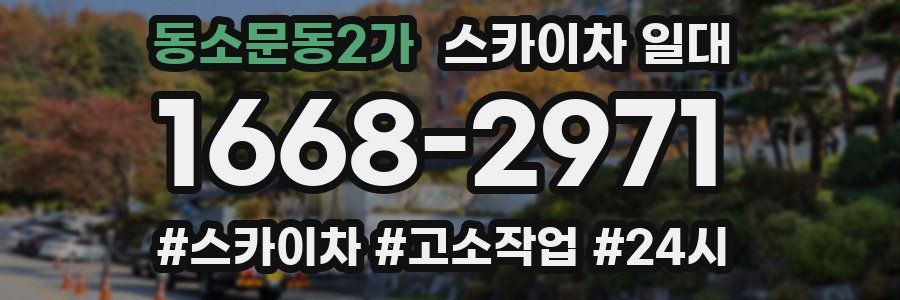 동소문동2가 스카이차 일대