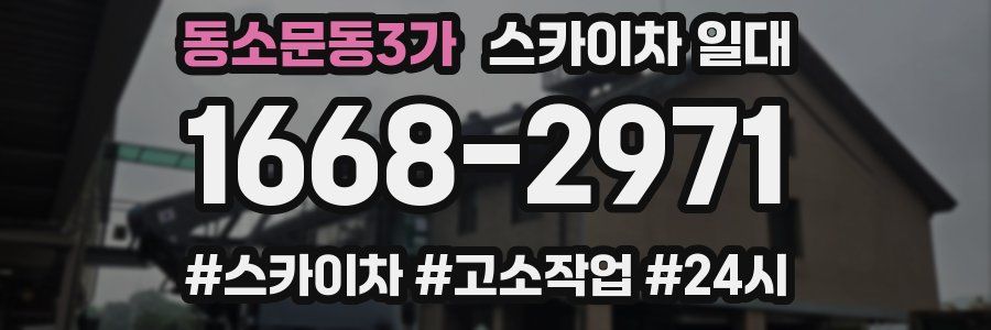동소문동3가 스카이차 일대