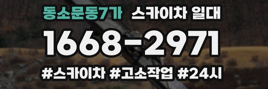 동소문동7가 스카이차 일대