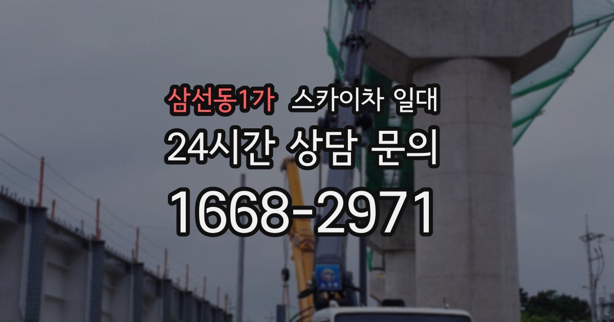 삼선동1가 스카이차 일대