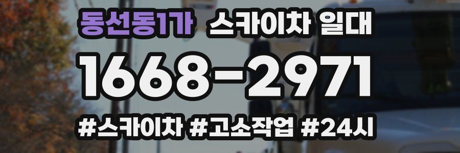 동선동1가 스카이차 일대