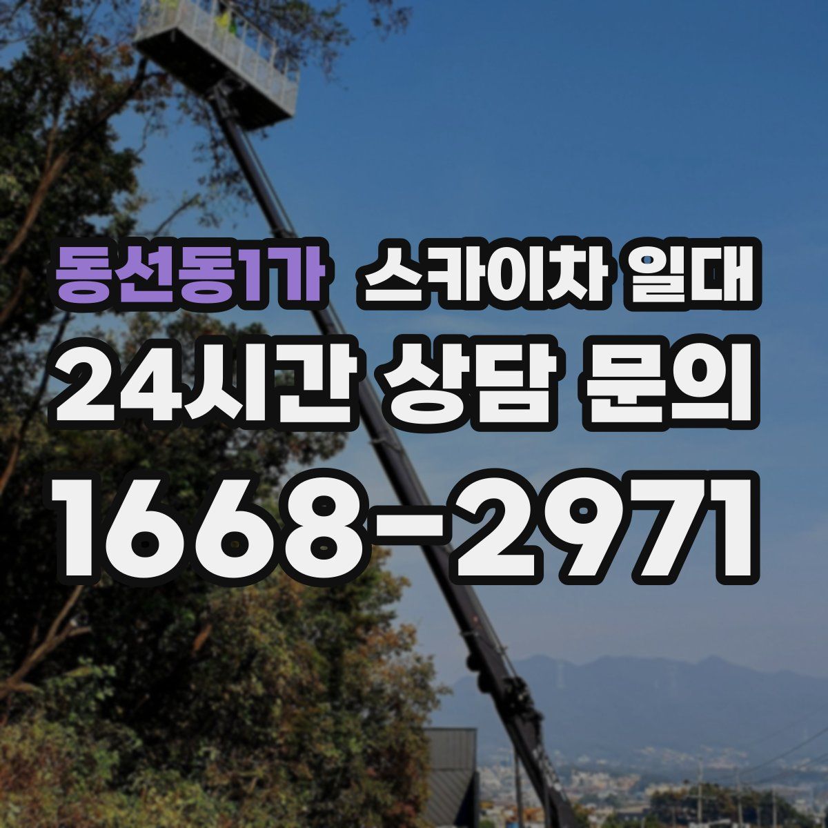 동선동1가 스카이차 일대