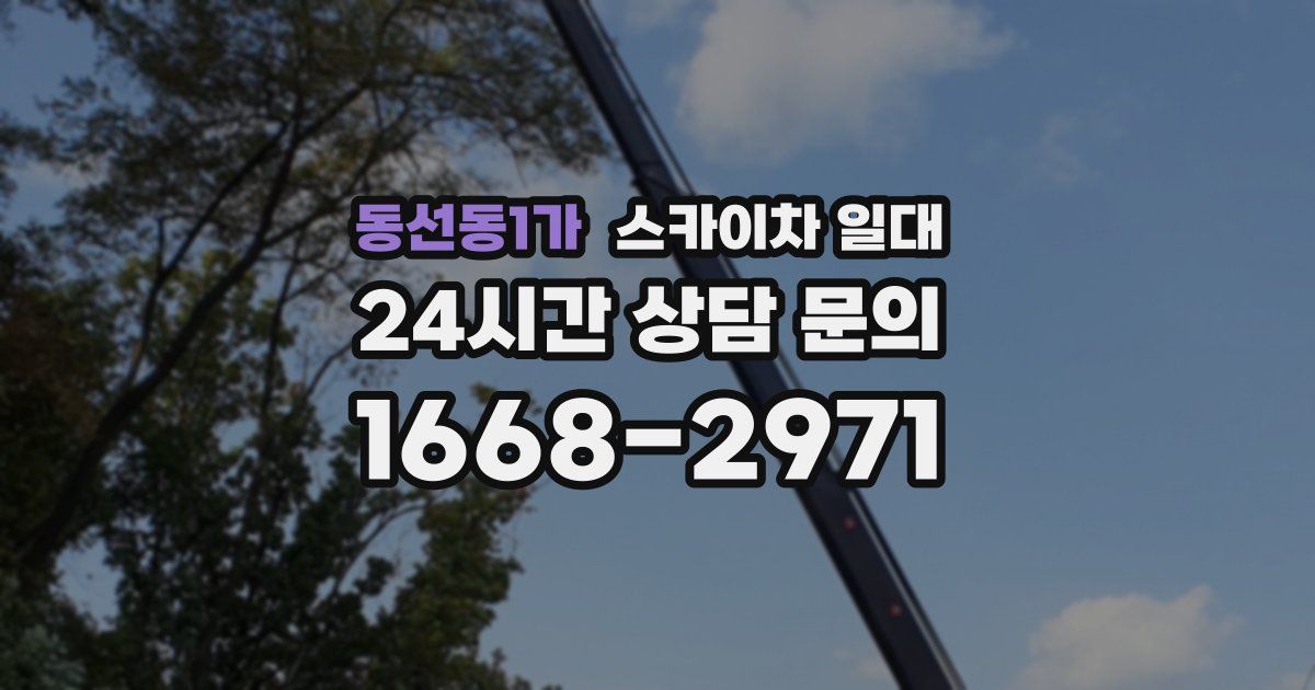 동선동1가 스카이차 일대