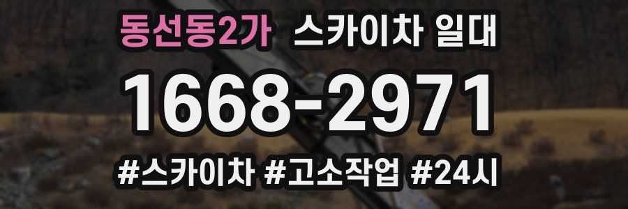 동선동2가 스카이차 일대